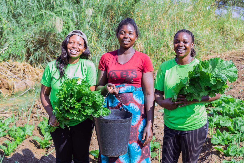 Three women holding a water bucket and plants
